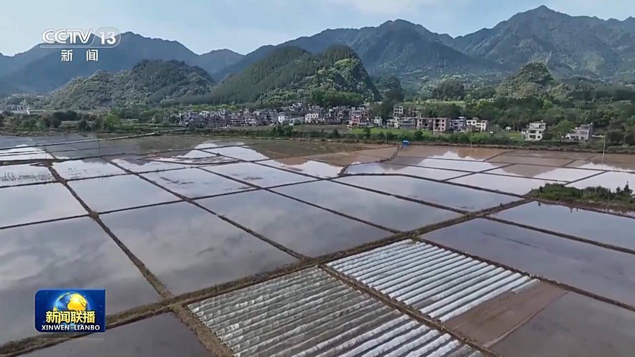 爱游戏app网页版官方入口：正在欲望的郊野上丨良种+良机+良法 各地春耕有妙招(图3)