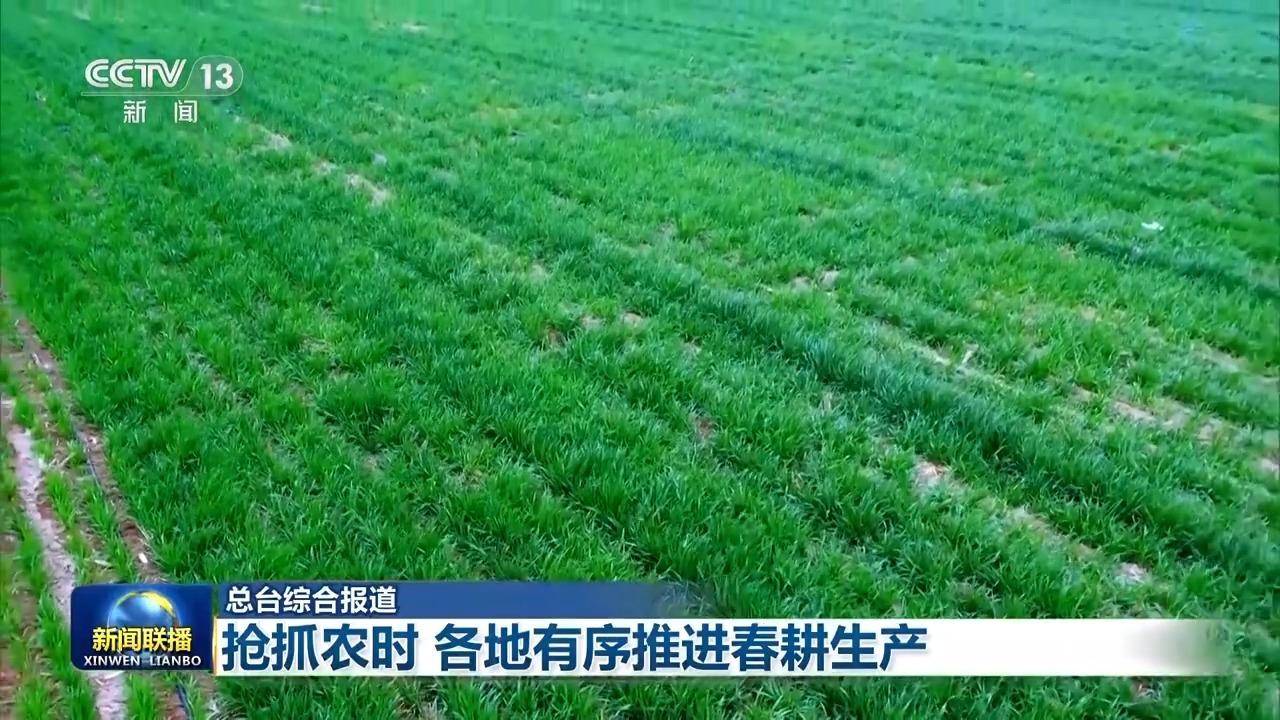 爱游戏app网页版官方入口：正在欲望的郊野上丨良种+良机+良法 各地春耕有妙招(图5)