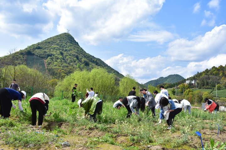 爱游戏app网页版官方入口：招募！都会花匠造就部署『厚味花圃-可食中央园兴修』