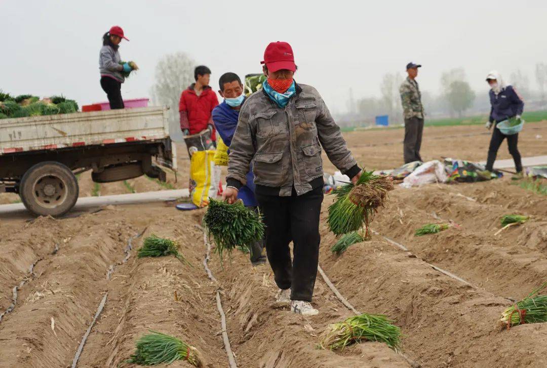 ayx爱游戏官方网页：春耕好时节 田间稼穑忙(图2)