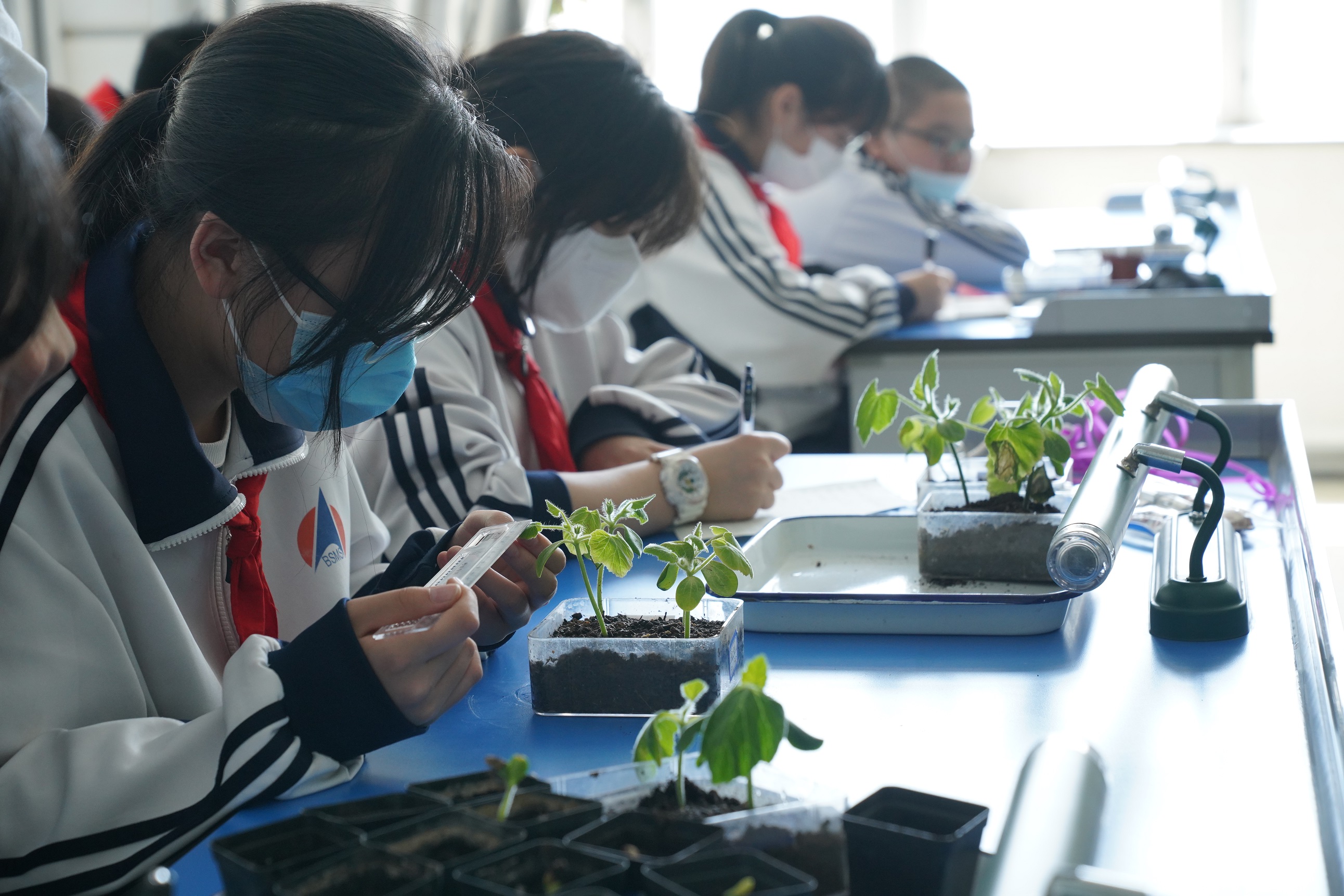 义齿种植小学问