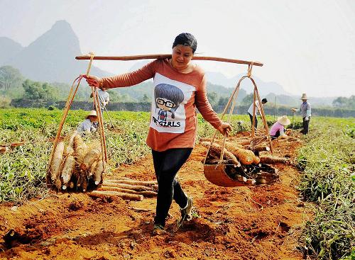 繁复的种植牙市集须要一份“种牙指南”