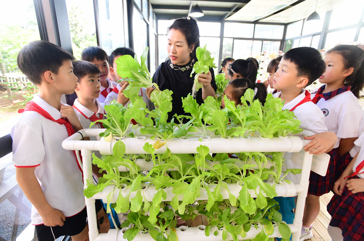 ayx爱游戏官方网页：2021年植物栽培本原学问docx