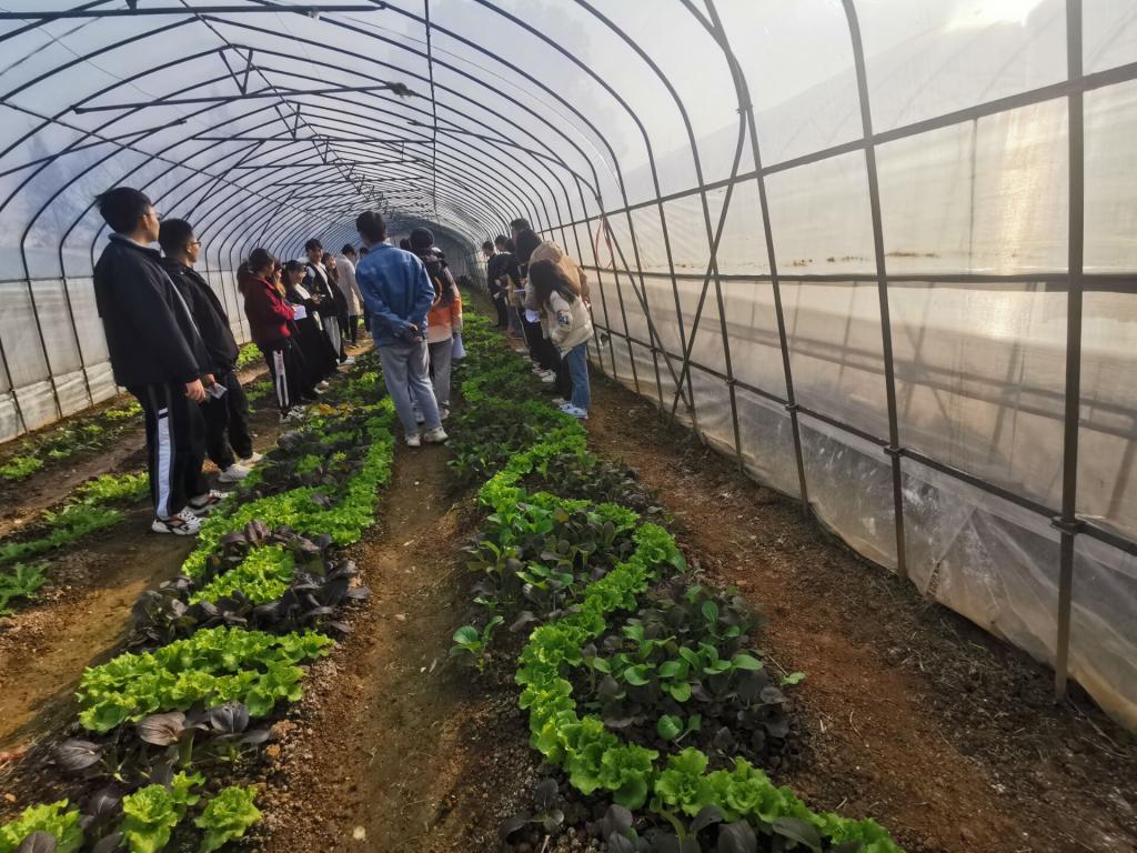 植物栽植和养护学问重心