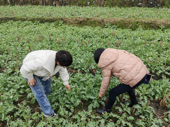 植物栽培学学问点温习docx