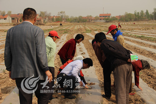 东营：利津镇种植管束常识“实时雨”下到田间地头(图1)