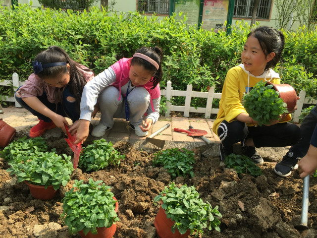 柑橘种植更“聪颖”了