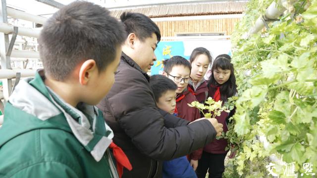 育才社区举办阳台种植常识讲座