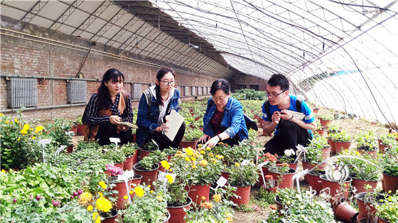 园艺师为住户诠释植物养护学问