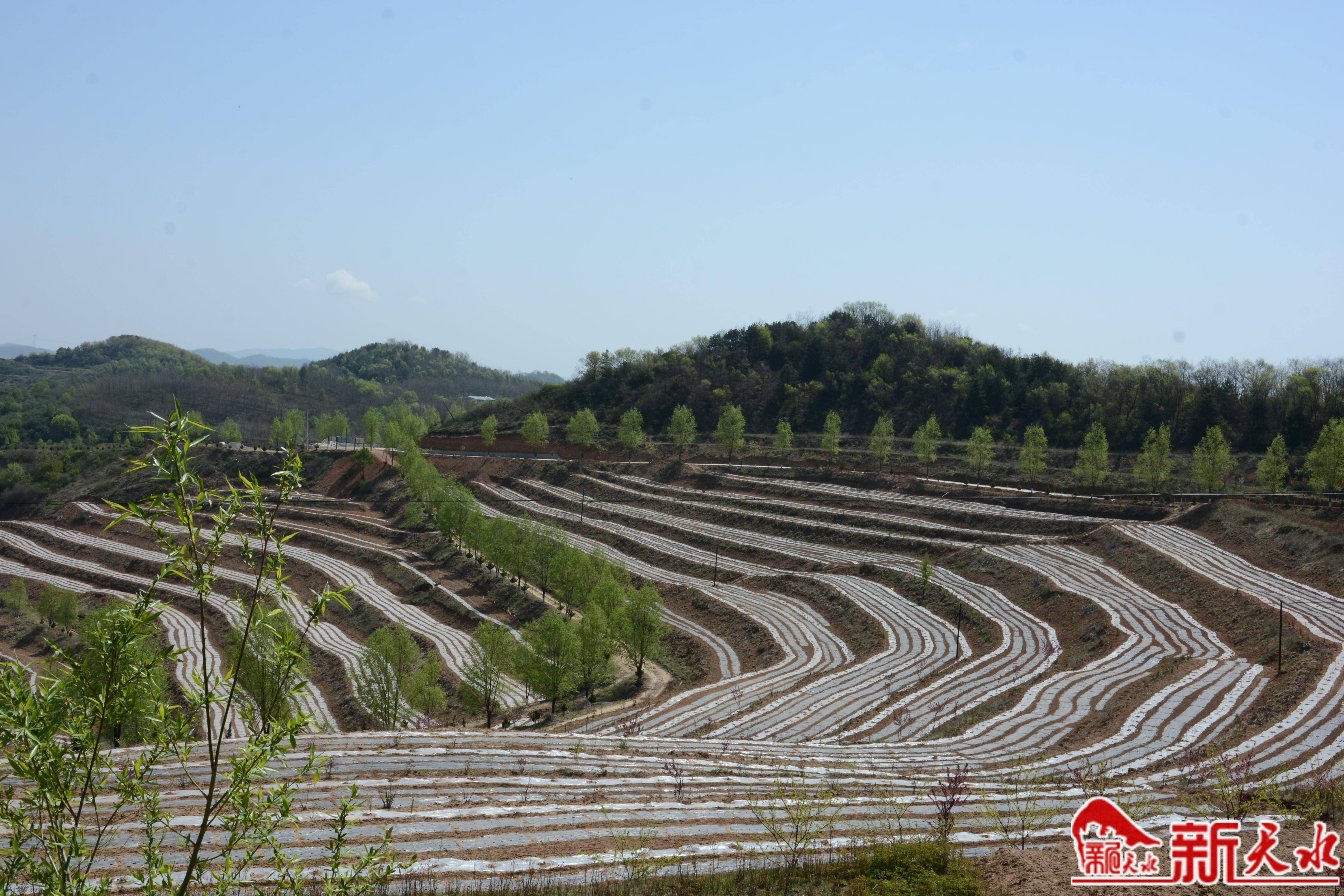 不负好时间 田间稼穑忙(图6)