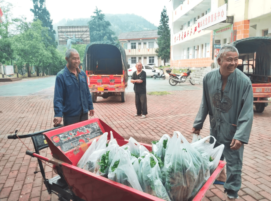 滚马乡：百万小苗免费发 辣椒映红致富道(图3)