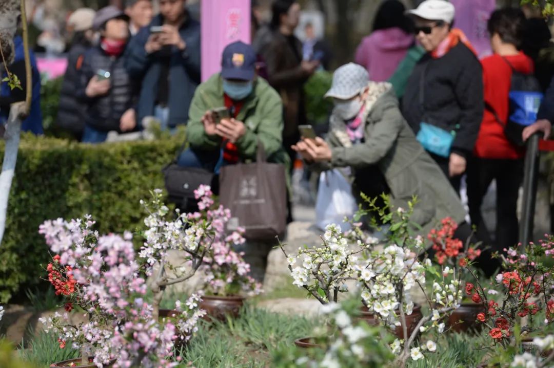 蔬菜栽培科普常识