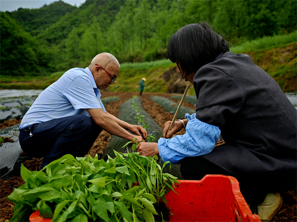 爱游戏app官方网站手机版：《绿色地狱》种植编制及可种植作物详解