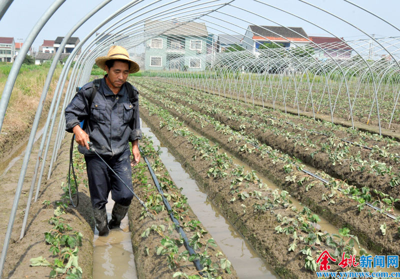 爱游戏app网页版官方入口：中邦@2016]一年来我邦种植业发作很众新变革